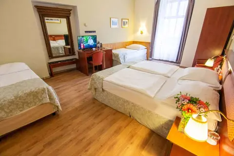 Wenceslas Square Hotel in Praag
