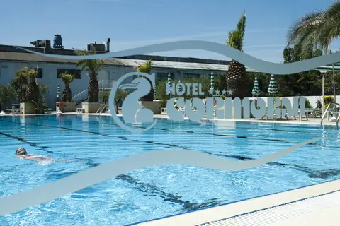 Cormoran in Cattolica, foto 21