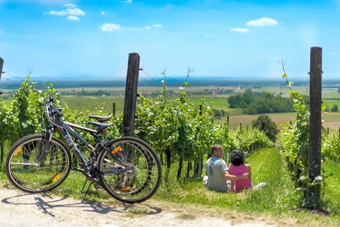 Vakantiepark Terme 3000 foto 18