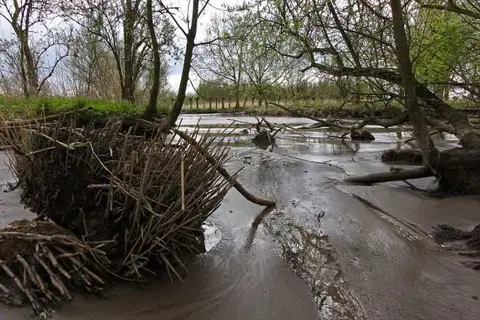 Hotel De Brabantse Biesbosch in Werkendam — foto 13