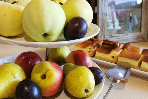 Oberauer Wagrain - Die Eco Familien Hotelpension foto 3