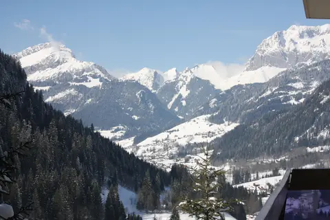 Hotel & Residence Le Panoramic - Appartementen in Châtel — foto 4