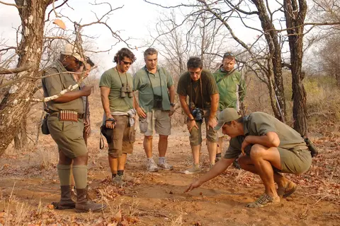 Ultimate Safari Experience - Sefapane Lodge in Noorderlijk Zuid-Afrika, Krugerpark, Panoramaroute — foto 6