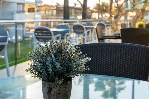 Apartamentos El Palmar in San Bartolomé de Tirajana — foto 30