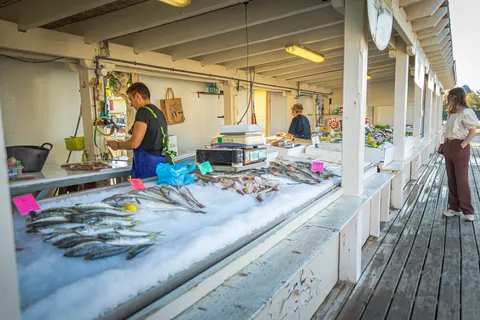 Camping Le Pré Catalan foto 14