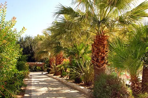 Holiday Marina Resort foto 30