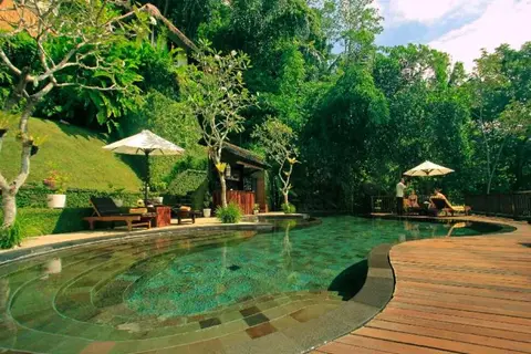 Nandini Jungle Resort & Spa in Payangan — foto 12