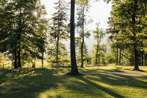 Forest Camping Mozirje in Mozirje — foto 4