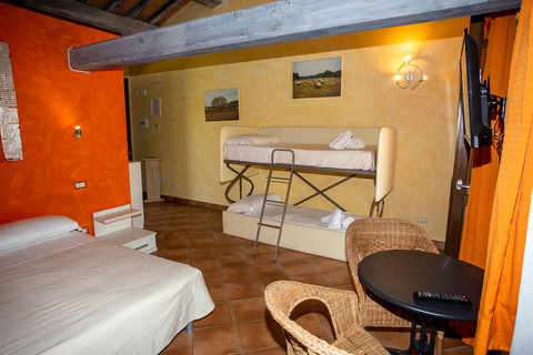 Il Bagolaro in Nerola — foto 14