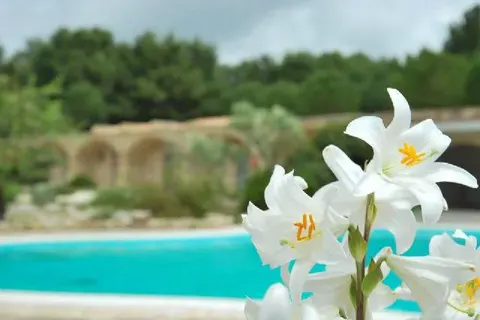 Masseria Relais Santa Teresa in Sannicola — foto 7