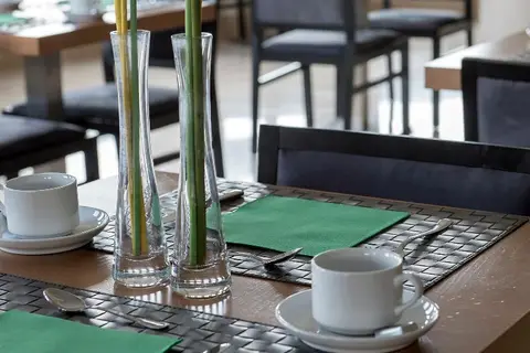 Hotel Plaza Las Matas in Las Rozas de Madrid — foto 14