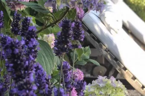 Bed & Breakfast De Roos foto 3