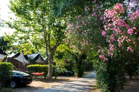 Camping Les Pêcheurs foto 27