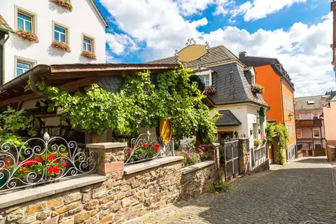 Rijnromantiek naar Rüdesheim met mps Serenade 2 in Rijn — foto 5