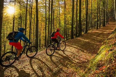 Hotel Bitburg foto 19