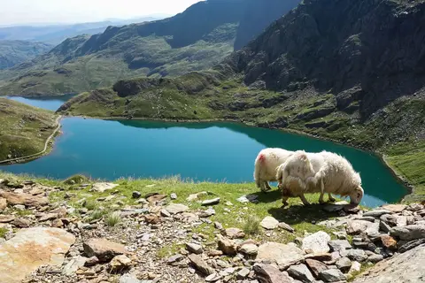 De wonderen van Wales in Wales — foto 19