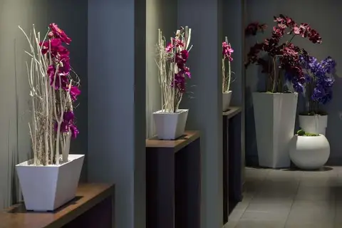 Dodo Hotel in Riga — foto 6