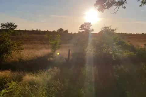 Heidepark Veluwschkarakter foto 1