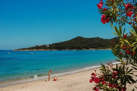 Camping Torraccia foto 3