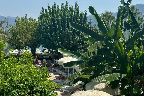Tropical Beach foto 20