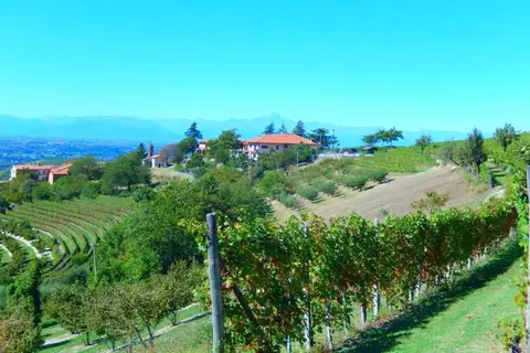 Agriturismo Cantina Bevione in Farigliano, foto 11