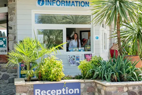 Camping Eden foto 16