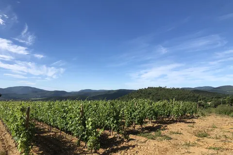 Camping Domaine De Miremer foto 7