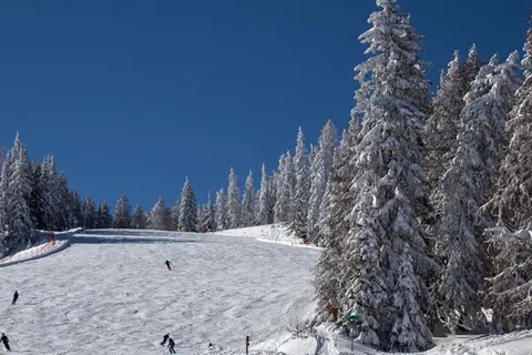 Residence Tolderhof foto 18