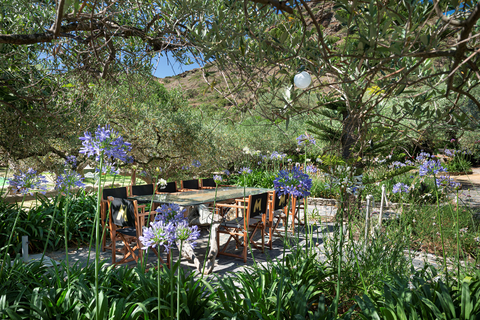 Hotel Cala Joncols foto 12