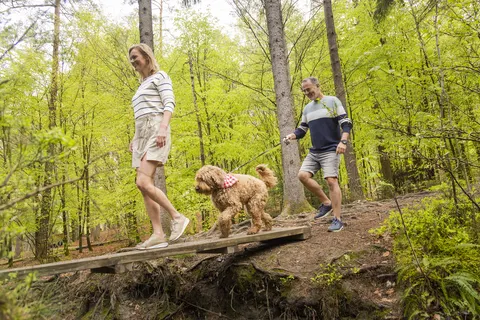 Ardennen Camping Bertrix foto 24