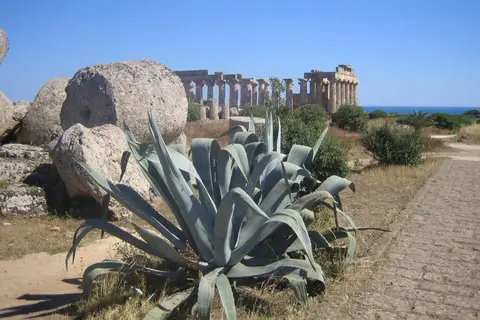 Alceste in Castelvetrano, foto 19