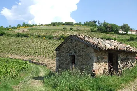 La Grappe Fleurie in Fleurie — foto 20