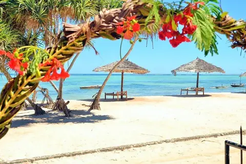 Nest Style Beach Zanzibar in Makunduchi — foto 14