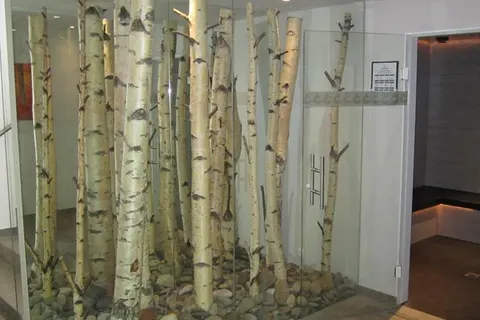 Anthony's Life & Style Hotel foto 14