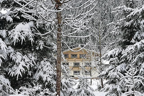 Frühstückspension Waldeck foto 8