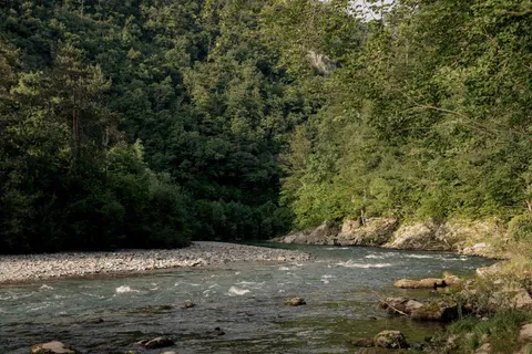 Forest Camping Mozirje in Mozirje — foto 17