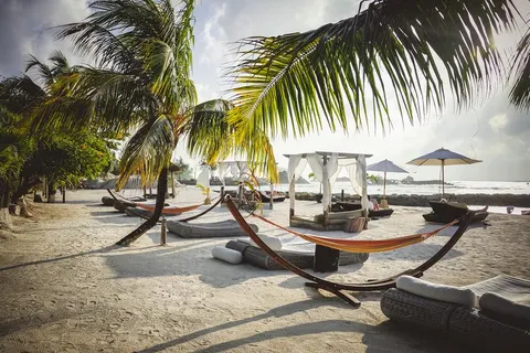 Domaine de l'Orangeraie foto 2