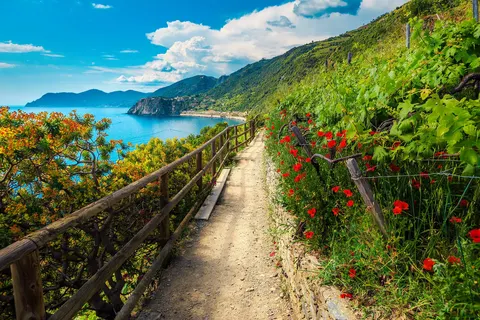 Ontdek Toscane en Cinque Terre foto 11