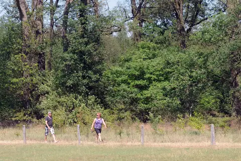 Camping Dal Van De Mosbeek in Mander — foto 12