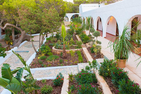 La Torre Ibiza foto 5