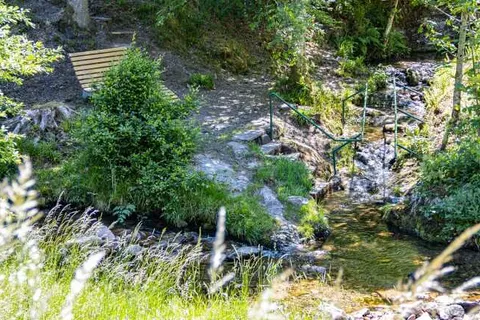 Hotel Gasthof Blume foto 23