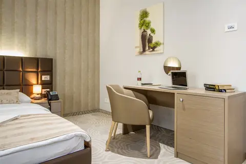 Royal Airport Hotel in Velika Gorica — foto 15