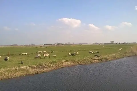 Vodatent Boerencamping Swarthoeve in Wormer — foto 6