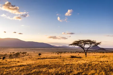 Geheime Schatten van Tanzania foto 14