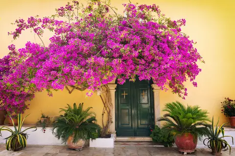 Ontdek Corfu vanuit Kommeno in Kommeno, foto 3