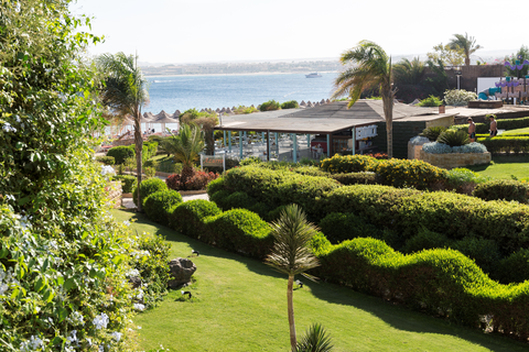 Hotel Prima Life Makadi Resort & Spa foto 14