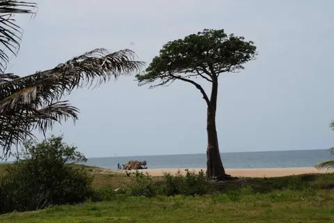 Lemon Creek Hotel Resort in Sukuta — foto 13
