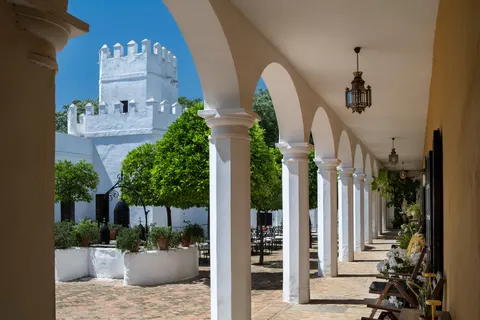 Cortijo Torre de la Reina in Guillena — foto 2