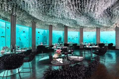 Niyama Private Islands Maldives in ކުޑަހުވަދޫ — foto 7