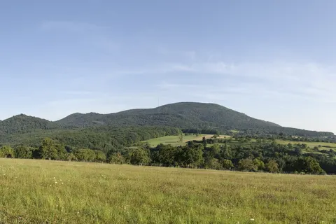 Camping Donnersberg foto 15